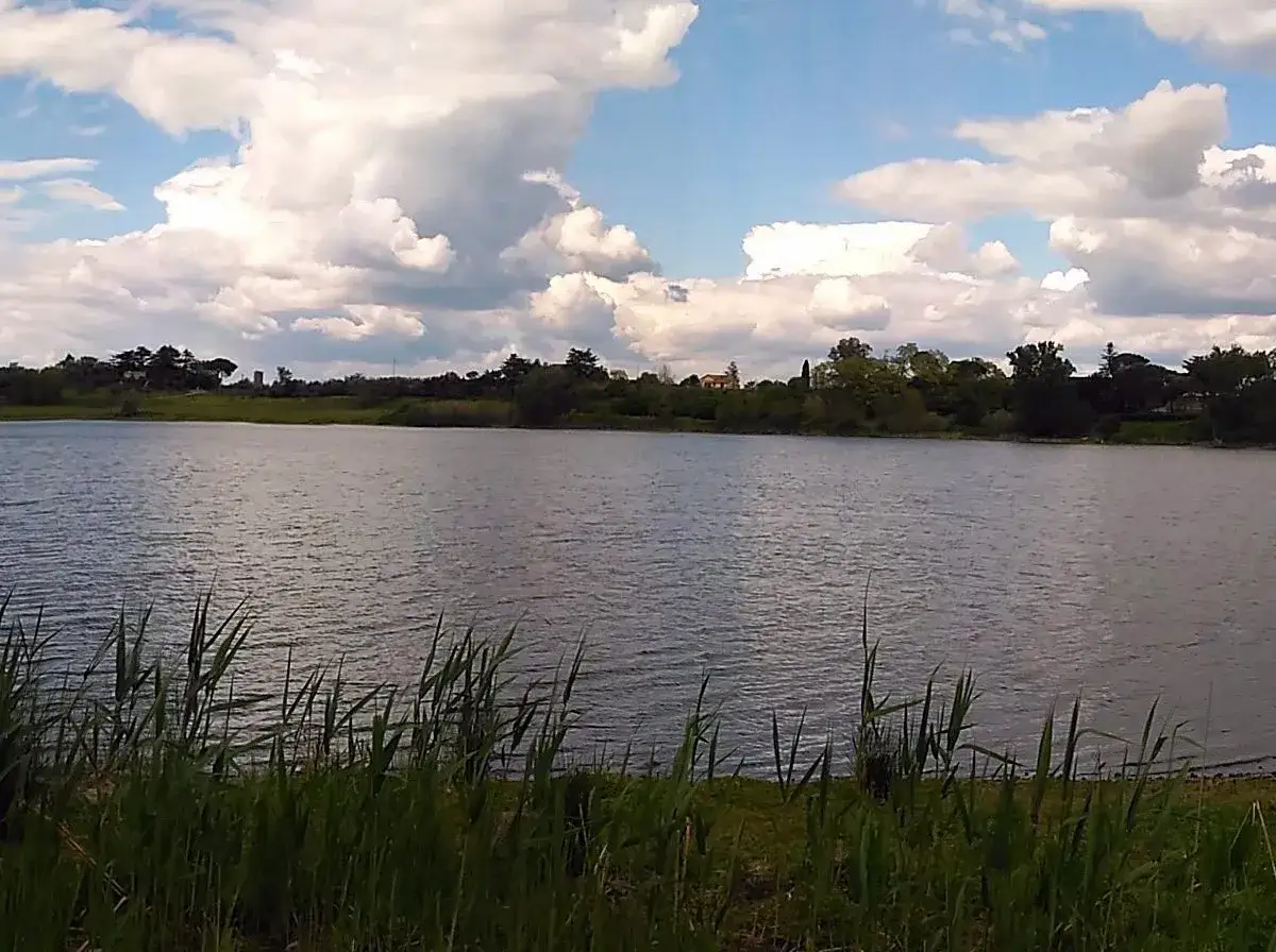 Acque calme del lago di Monterosi sotto un cielo con nuvole bianche e soffici. Vegetazione rigogliosa sulla riva.