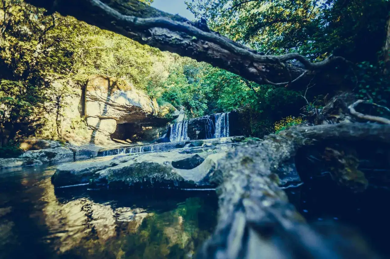 Cascate nascoste tra la vegetazione lussureggiante, un angolo di paradiso vicino Viterbo.