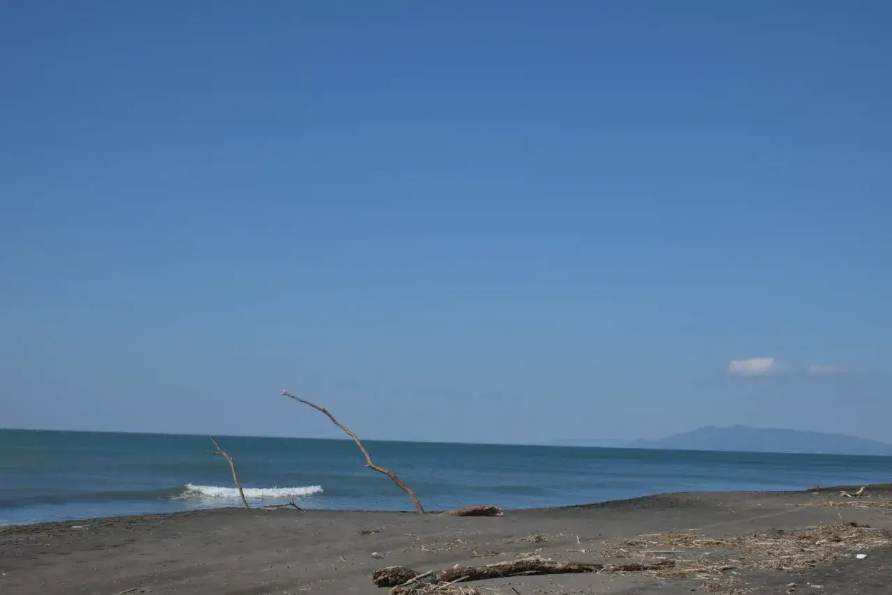 Spiaggia selvaggia della Maremma Laziale, con legni portati dal mare e un cielo azzurro infinito. Un luogo da scoprire.