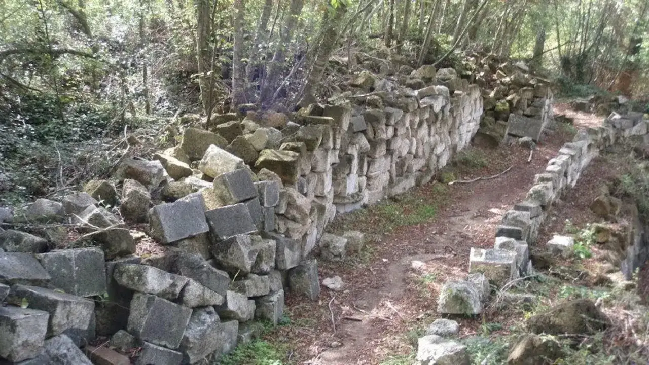 Rovine di un antico muro di pietra, forse parte di un eremo a Ischia di Castro, immerse nel verde di un bosco.