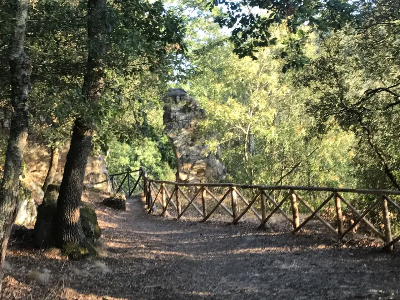 Sentiero nel bosco con staccionata in legno, rocce e vegetazione rigogliosa, un luogo che evoca la pace della caldera di Latera.