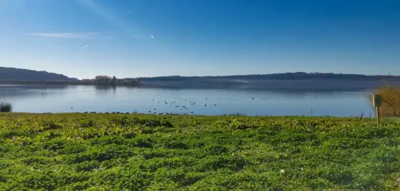 Faggeta Lago di Vico - Scegli il sentiero perfetto per te