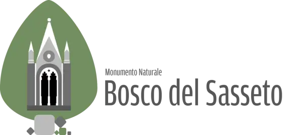Bosco del Sasseto - Guida completa per una visita perfetta