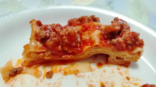 Fetta di lasagna con ragù, strati di pasta e sugo rosso. Non sono fregnacce, ma un piatto delizioso!