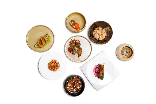 Assaggi gourmet: cosa mangiare a Tuscania? Piatti raffinati con pesce, carne e verdure, un'esplosione di sapori.