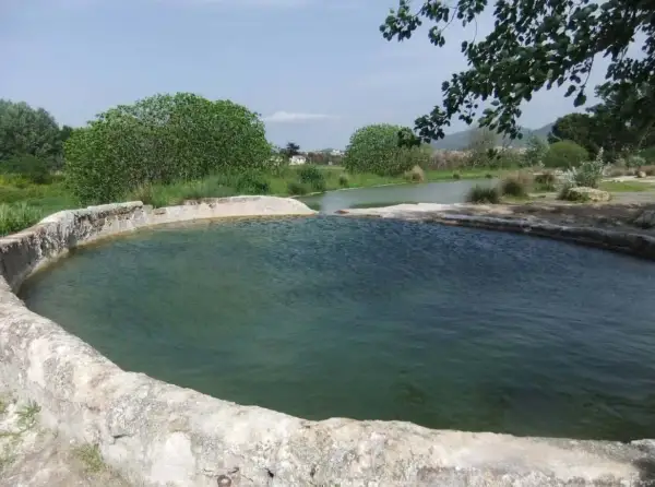 Piscine naturali delle terme di San Sisto, con acqua verde e bordi in pietra grezza, circondate da vegetazione lussureggiante sotto un cielo azzurro.