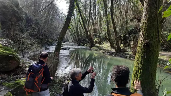Passeggiata nel parco della Mola a Oriolo Romano, con un fiume che scorre tra alberi secolari e rocce muschiose.