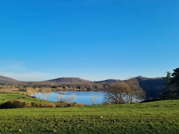 Paesaggio sereno con lago specchiato, colline boscose e prato verde. La **caldera di Latera** offre uno spettacolo tranquillo sotto un cielo azzurro.