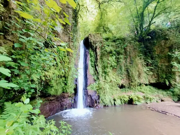 Cascate di Nepi, un'oasi verde con acqua cristallina che scende tra rocce e vegetazione lussureggiante.