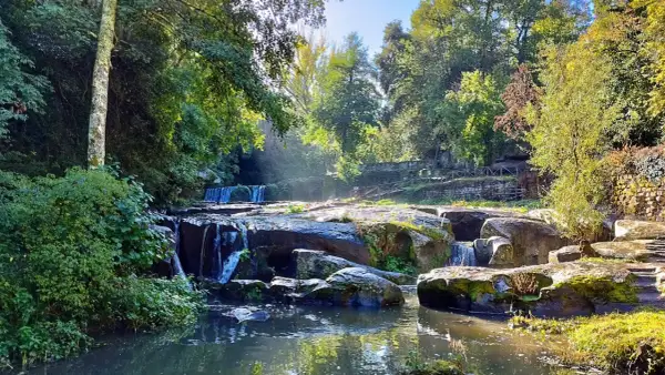 Cascata e rocce muschiose in un bosco lussureggiante, ideale per il trekking in Tuscia. Sentieri e ponticelli invitano all'esplorazione.