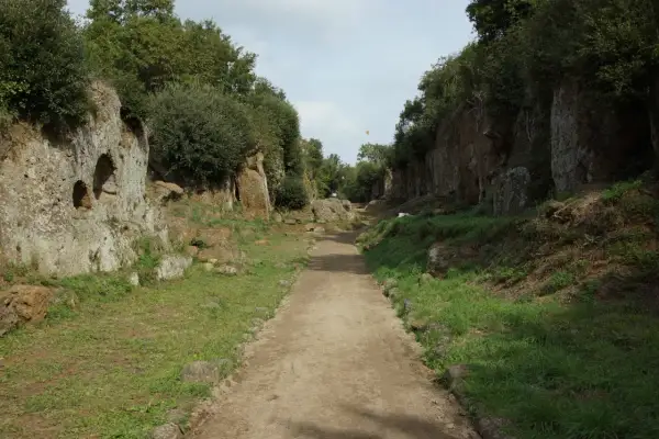 Sentiero scavato nella roccia, parte della Via Amerina, tra alberi e vegetazione rigogliosa.
