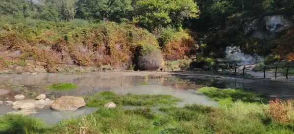 Acqua torbida e vegetazione rigogliosa nella valle del Mignone, con rocce e un sentiero che si perde tra i boschi.