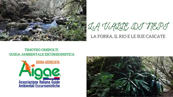 La sorgente Nepi, un ruscello tra rocce e vegetazione lussureggiante, con il logo AIIGAE e il nome della valle.