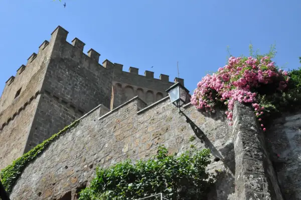 Il castello di Proceno, con le sue mura antiche e le rose rosa che lo adornano, si staglia contro il cielo azzurro.