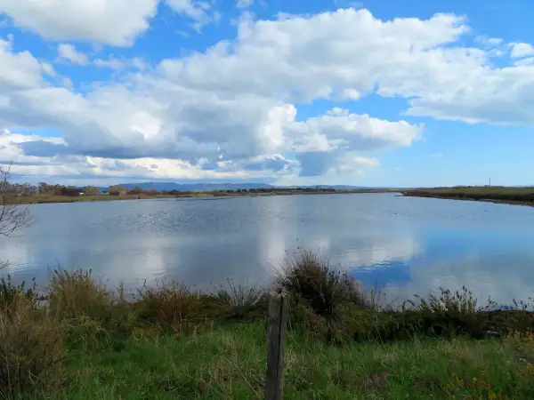 Vaste distese d'acqua riflettono un cielo azzurro con nuvole bianche alle saline di Tarquinia.